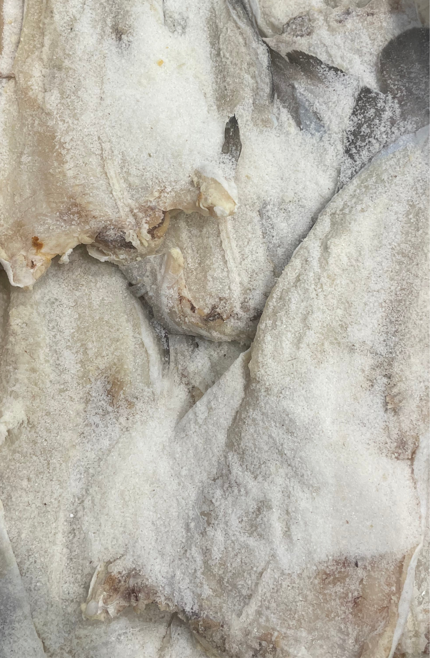 Dried Salted Tusk Saltfish 2.2lbs