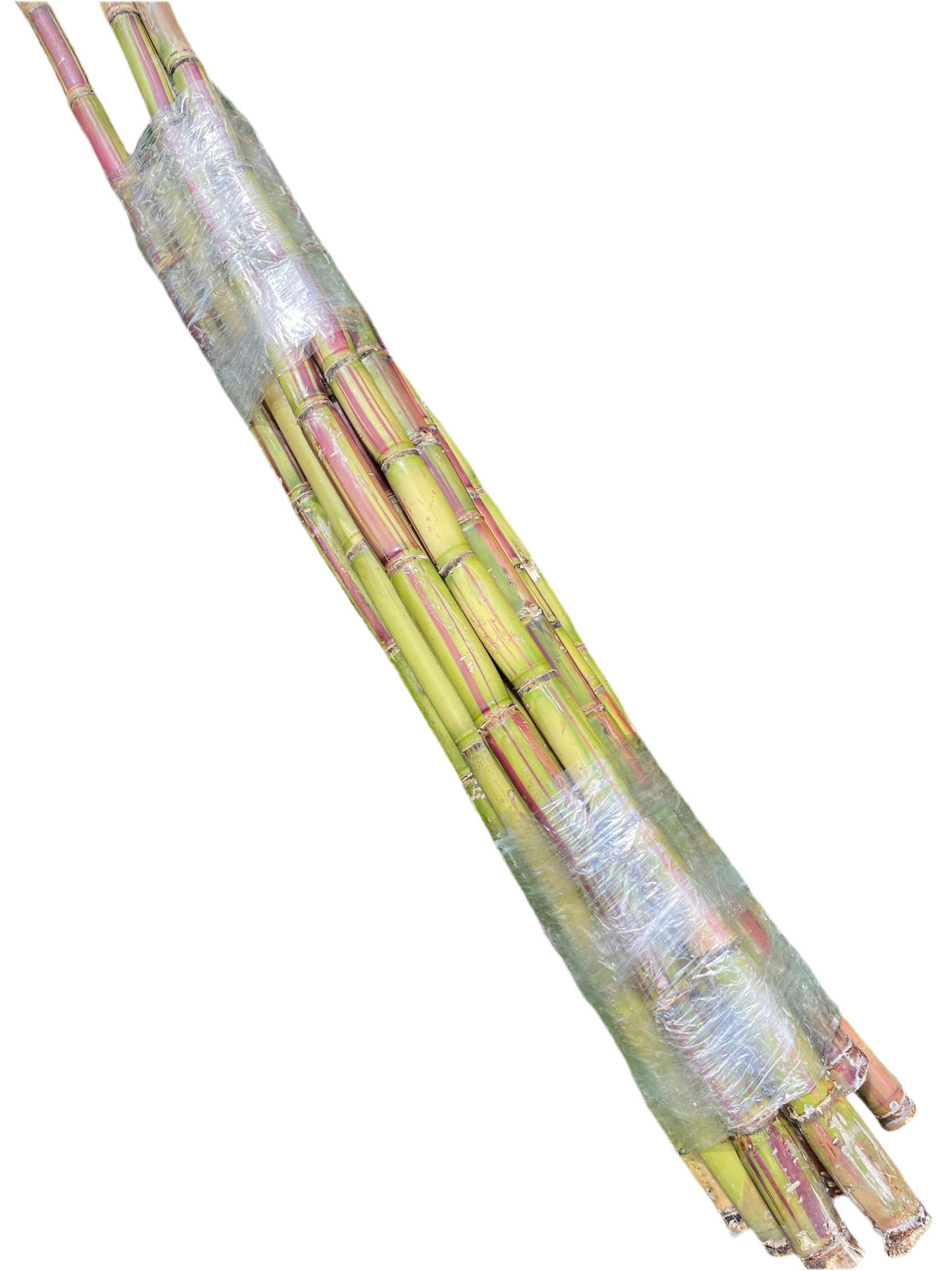 Fresh Jamaican Sugarcane