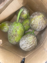 Load image into Gallery viewer, Fresh Best Breadfruit