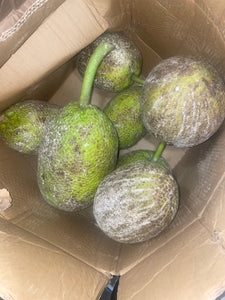 Fresh Best Breadfruit