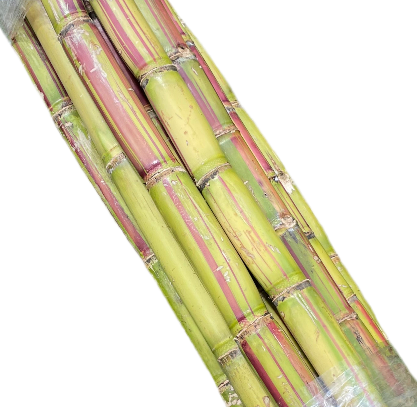 Fresh Jamaican Sugarcane