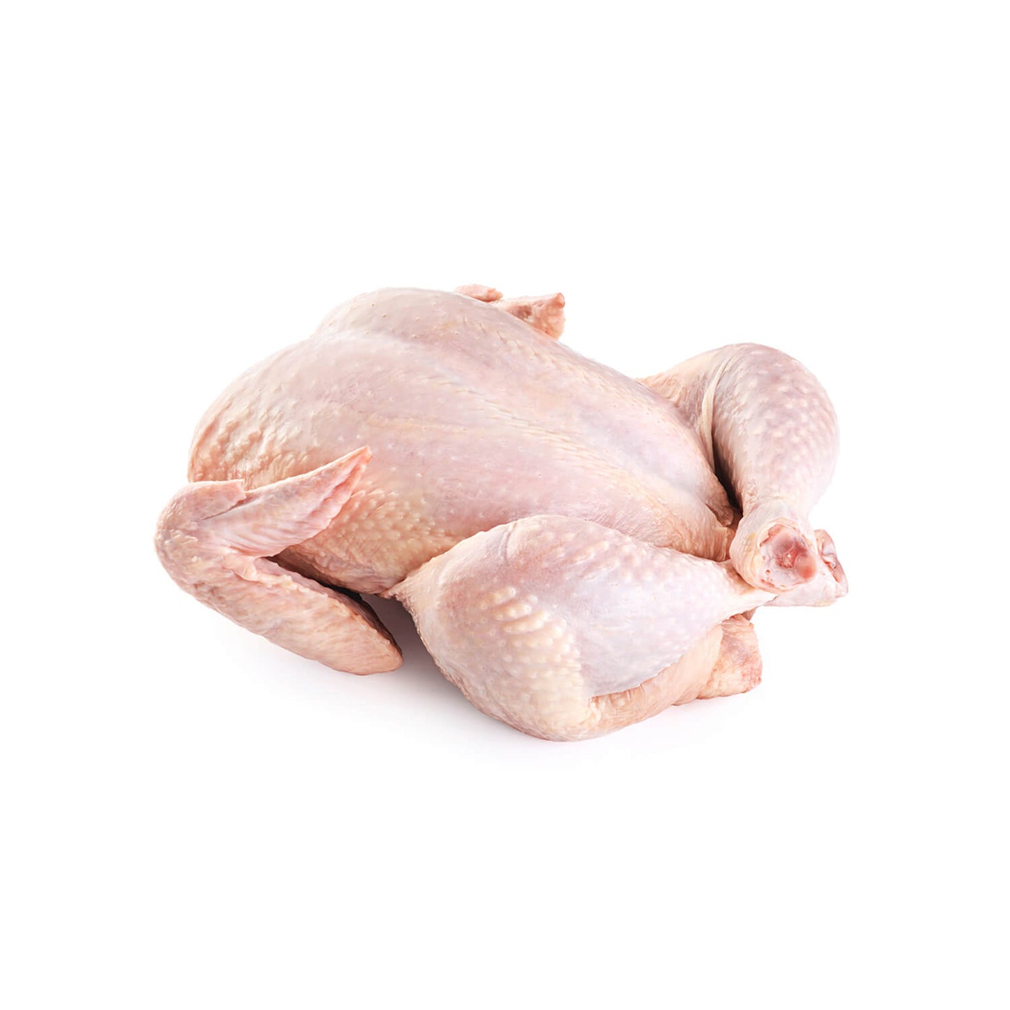 Fresh Whole Baby Chicken Halal