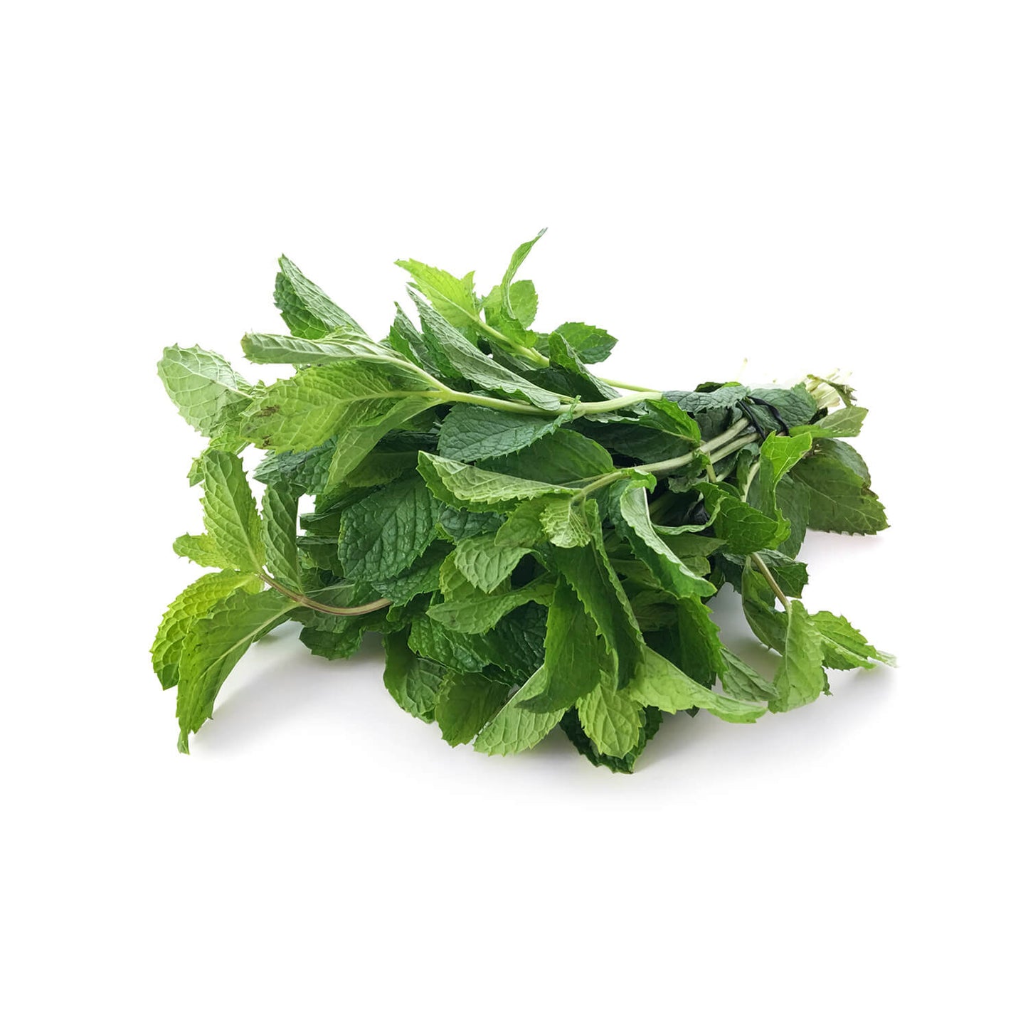Fresh Mint Bunch 100g