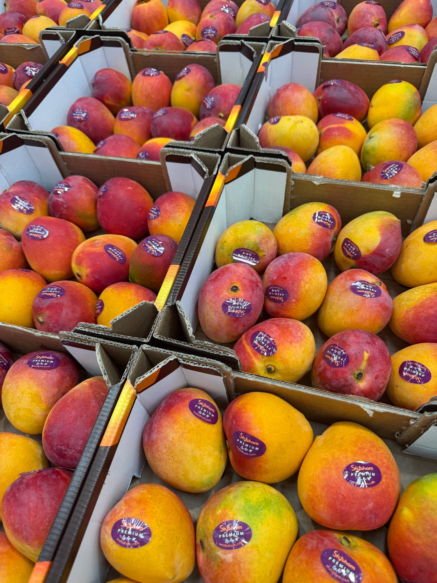 Fresh Maya Mango Box