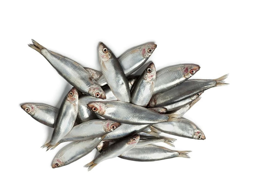 Fish Bundle
