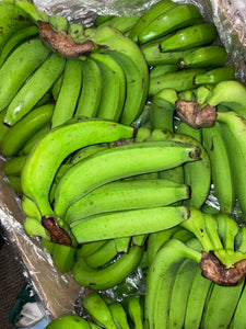 Fresh St Lucian Green Banana (Bunch of 8)