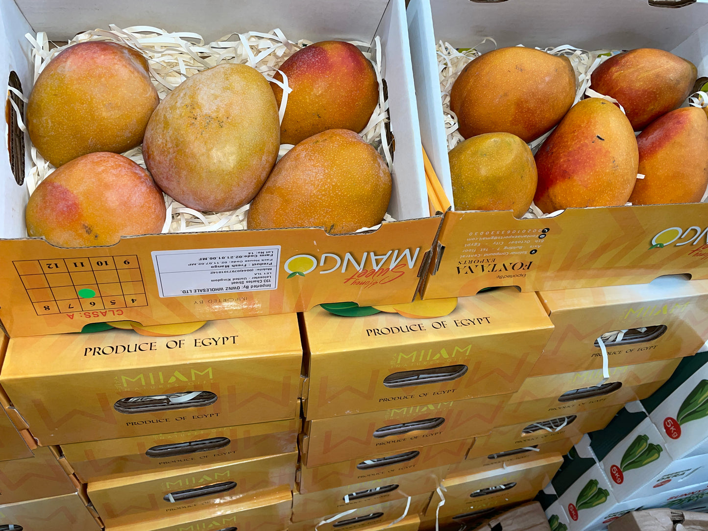 Fresh Egyptian Mango Box