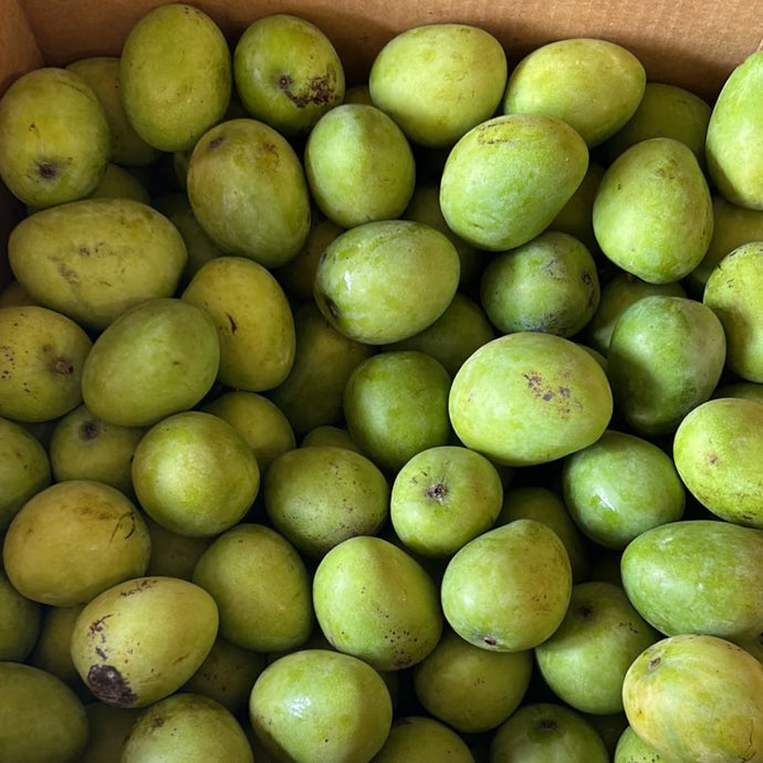 Fresh Jamaican Black Mango 🚨New In Season - Limited 🚨