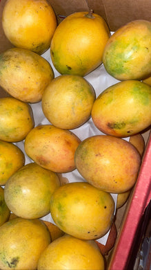Fresh Dominican Republic Bacardo Mango