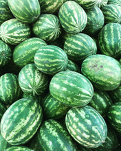 Load image into Gallery viewer, Fresh Xtra Large Seeded Watermelon