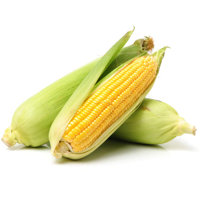 Fresh Corn On The Cob With Husks