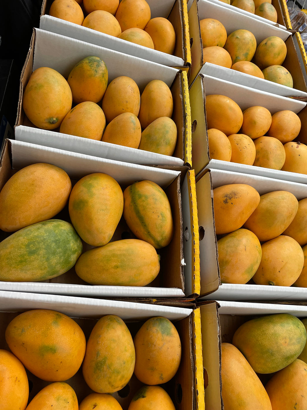 Fresh Mingolo Mango Dominican Republic Box Exotic Express