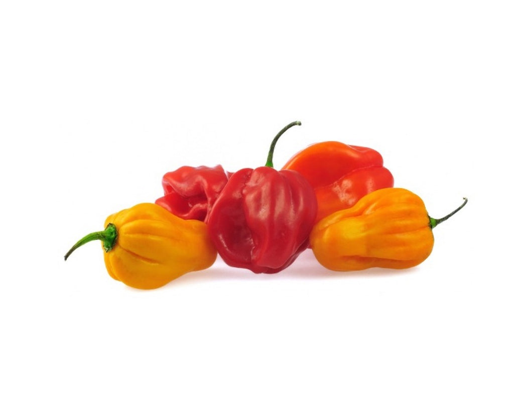 (8 Pack) Fresh Ugandan | Spanish Hot Peppers