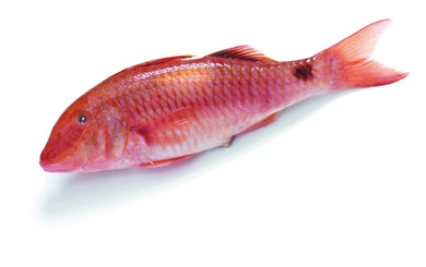 Vivanda Red Mullet Fish - Frozen